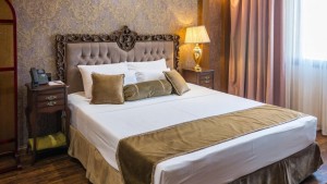 hotels-Iran-Mashhad-Almas-Novin-29333-e44c25902450a1277b9e6c18ffbb1521.jpeg