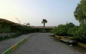 محوطه هتل محوطه هتل