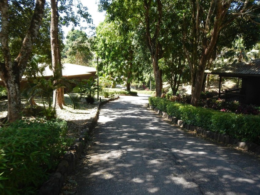 محوطه هتل محوطه هتل