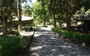 محوطه هتل محوطه هتل