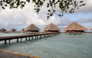 محوطه هتل محوطه هتل