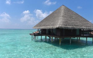 محوطه هتل محوطه هتل