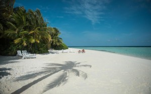 محوطه هتل محوطه هتل