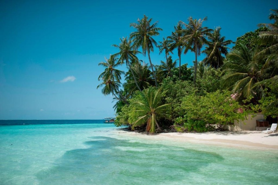 محوطه هتل محوطه هتل