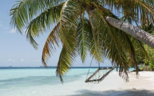 محوطه هتل محوطه هتل