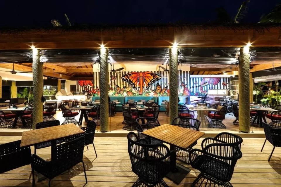 رستوران رستوران