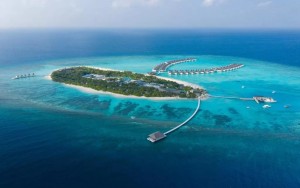 محوطه هتل محوطه هتل