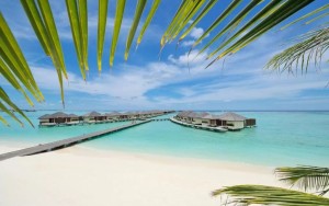 محوطه هتل محوطه هتل