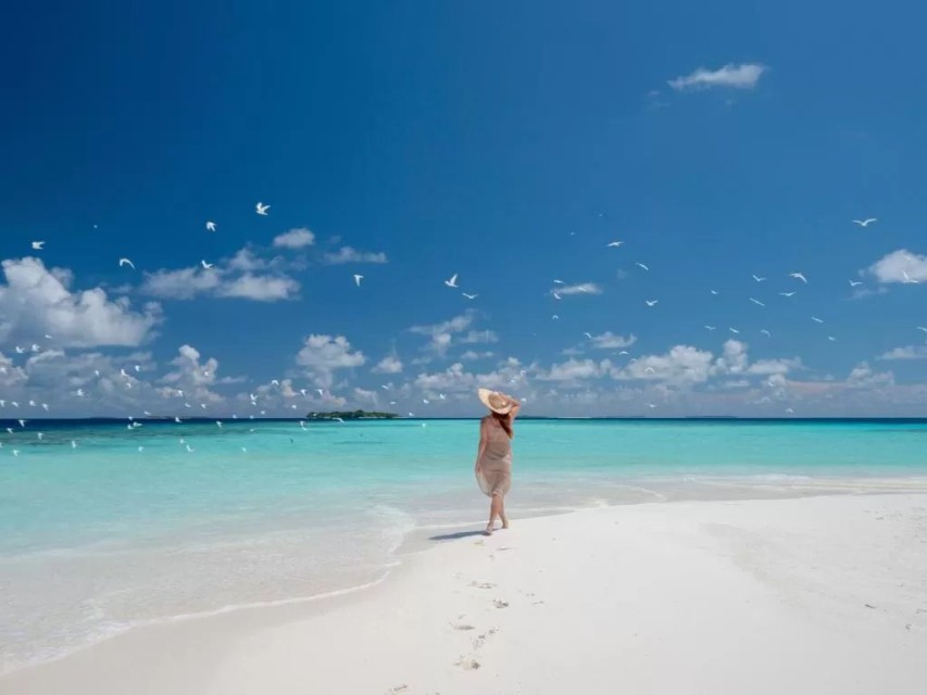 محوطه هتل محوطه هتل