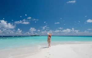 محوطه هتل محوطه هتل