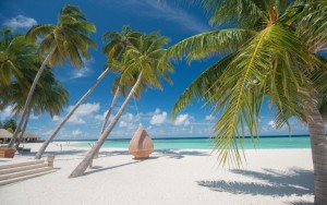 محوطه هتل محوطه هتل