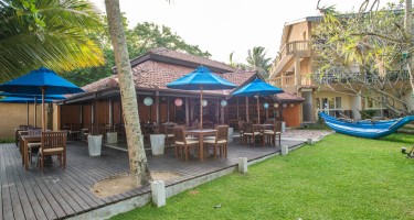 هتل The Palms بنتوتا