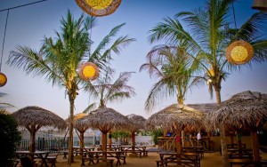 محوطه هتل محوطه هتل