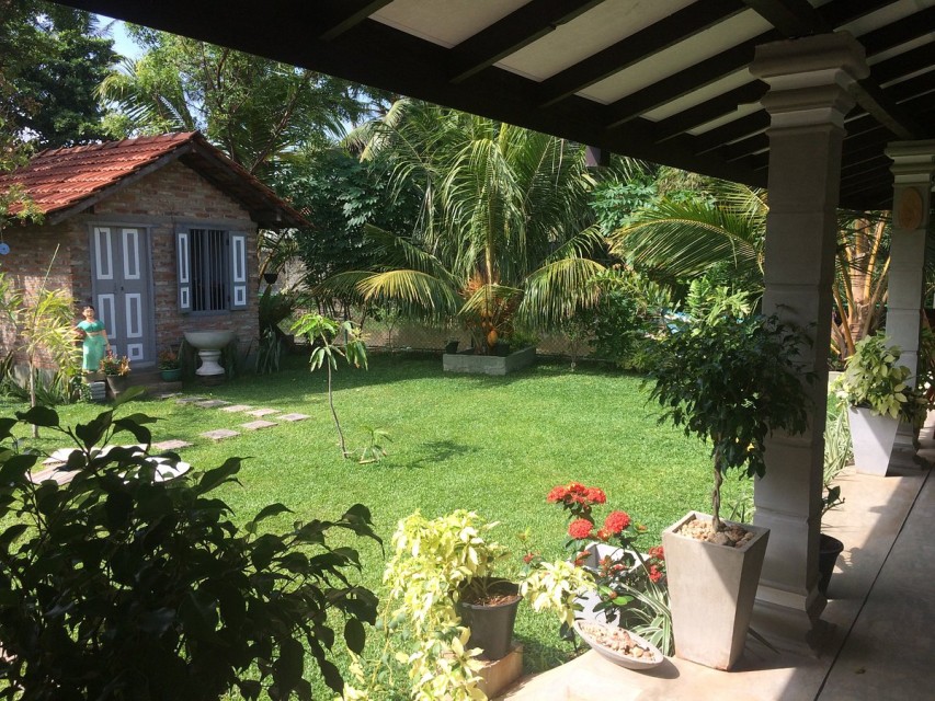 hotels-Sri-Lanka-Negombo-Green-Wood-Villa-garden-view-26ba2c9637d85cfabc7a35aea816c669.jpg