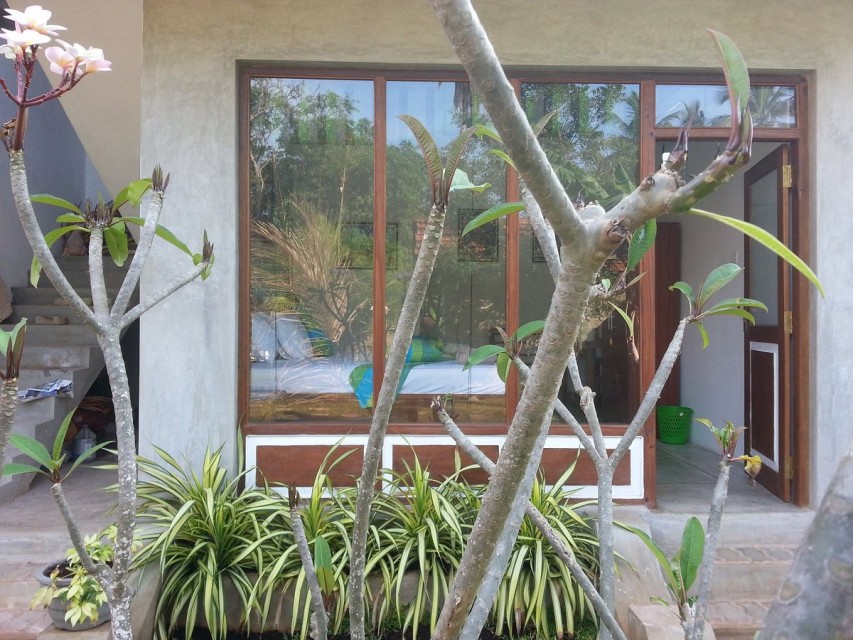 hotels-Sri-Lanka-Negombo-Green-Wood-Villa-green-wood-villa-(2)-26ba2c9637d85cfabc7a35aea816c669.jpg