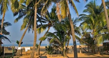 هتل Star Beach Guest House نگومبو