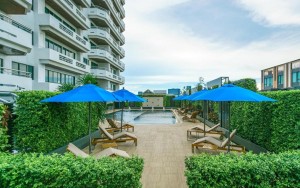 محوطه هتل محوطه هتل