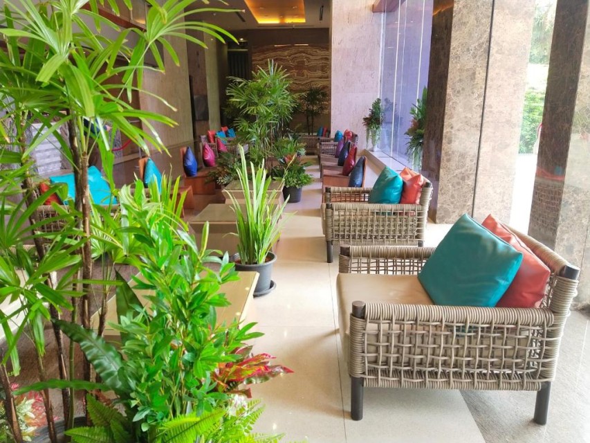 محوطه هتل محوطه هتل