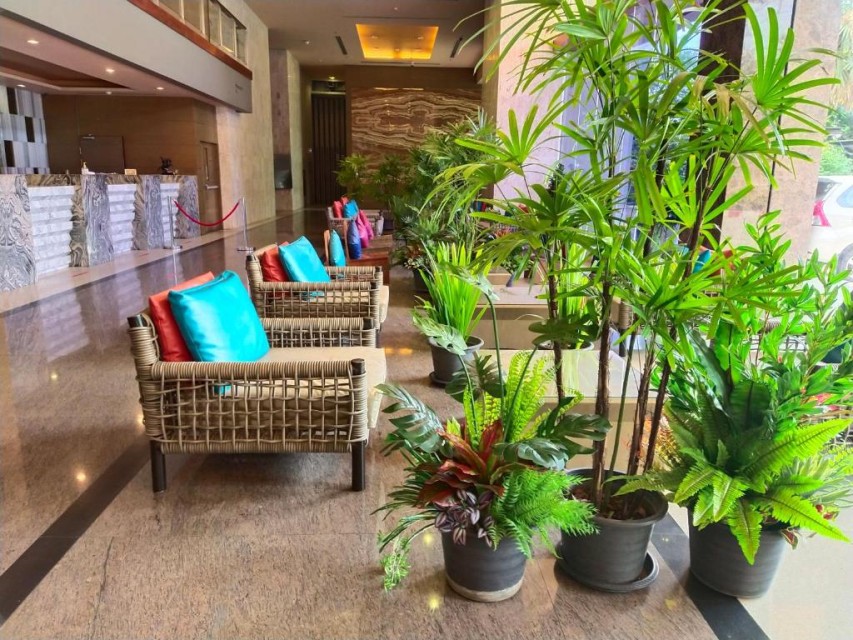 محوطه هتل محوطه هتل