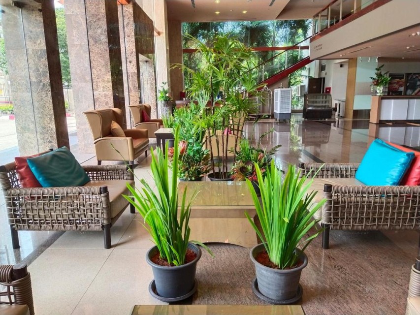 محوطه هتل محوطه هتل