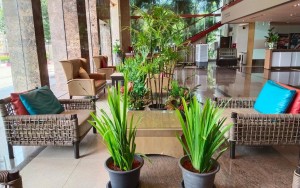 محوطه هتل محوطه هتل