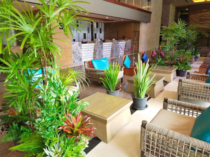 محوطه هتل محوطه هتل