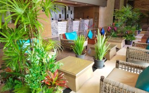 محوطه هتل محوطه هتل