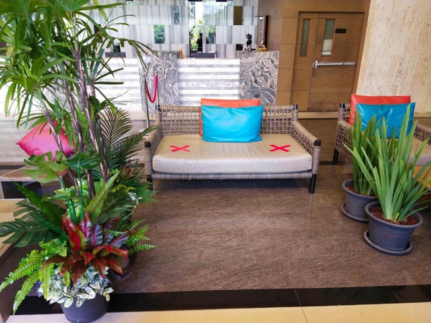 محوطه هتل محوطه هتل