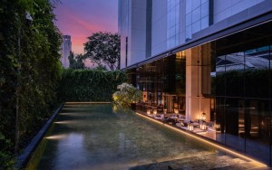 محوطه هتل محوطه هتل