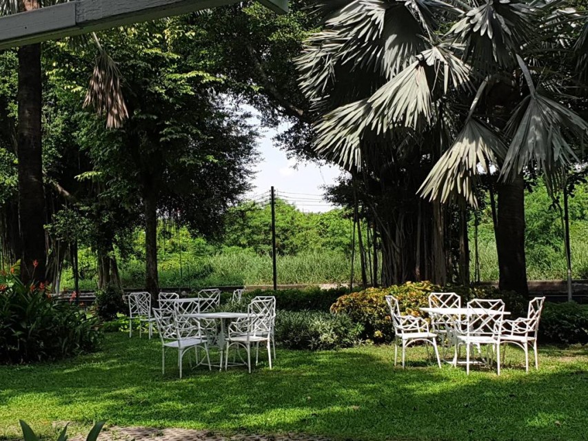 محوطه هتل محوطه هتل