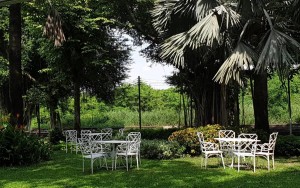 محوطه هتل محوطه هتل