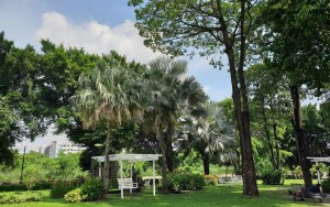 محوطه هتل محوطه هتل