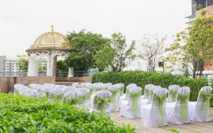 محوطه عروسی