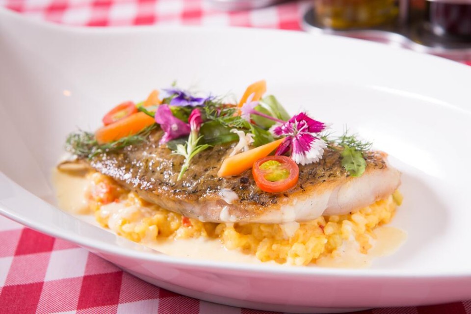 رستوران رستوران