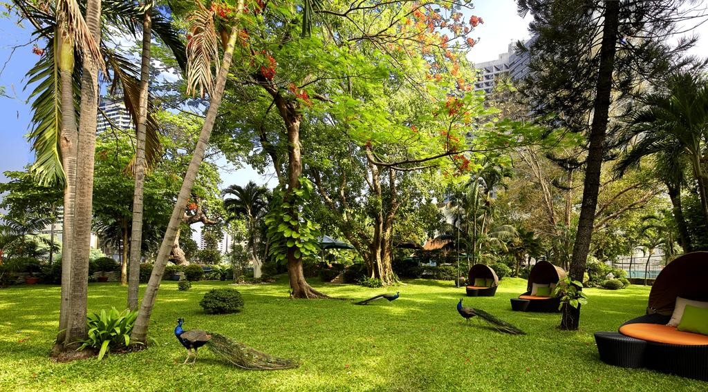 محوطه هتل محوطه هتل