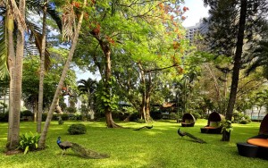 محوطه هتل محوطه هتل