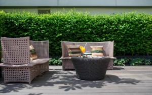 محوطه هتل محوطه هتل