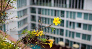 هتل Aiyara Grand پاتایا