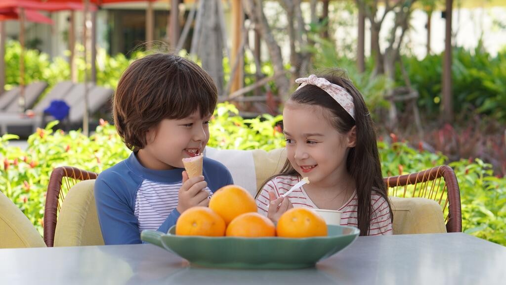 محوطه بازی محوطه بازی