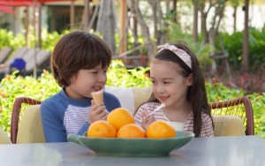 محوطه بازی محوطه بازی