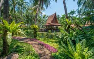 محوطه هتل محوطه هتل