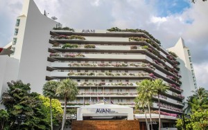 محوطه هتل محوطه هتل