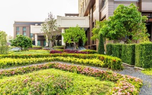 محوطه هتل محوطه هتل