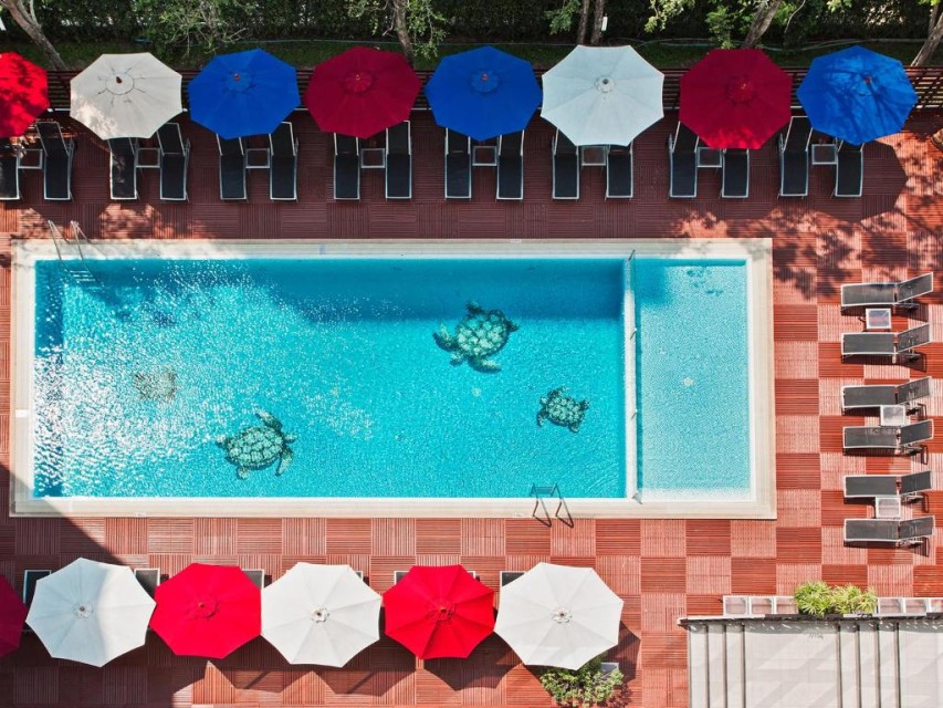 محوطه هتل محوطه هتل