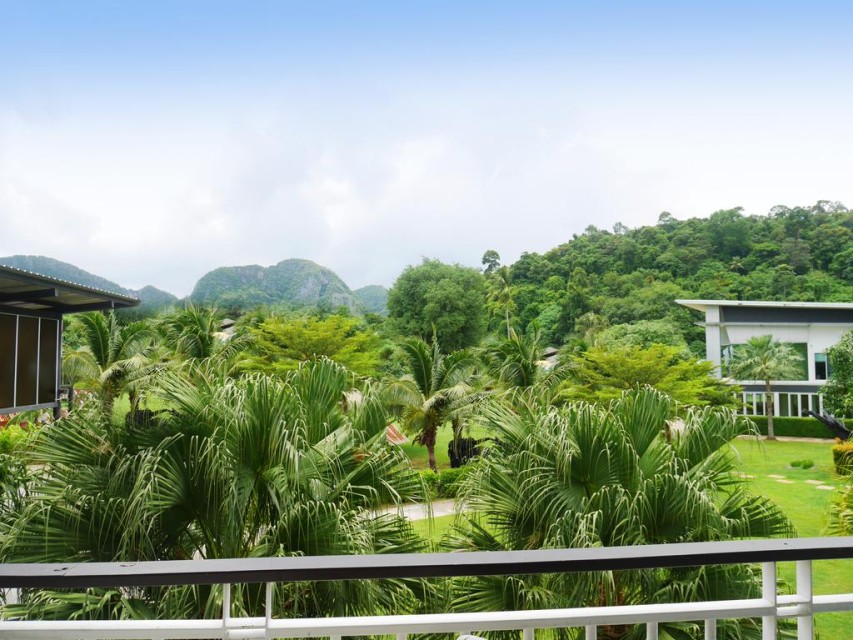 محوطه محوطه