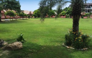 محوطه محوطه