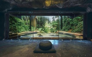 رستوران رستوران