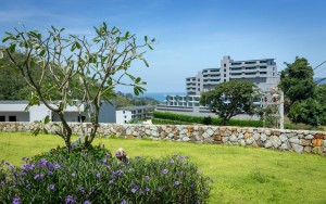 محوطه هتل محوطه هتل