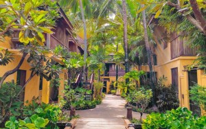 محوطه هتل محوطه هتل