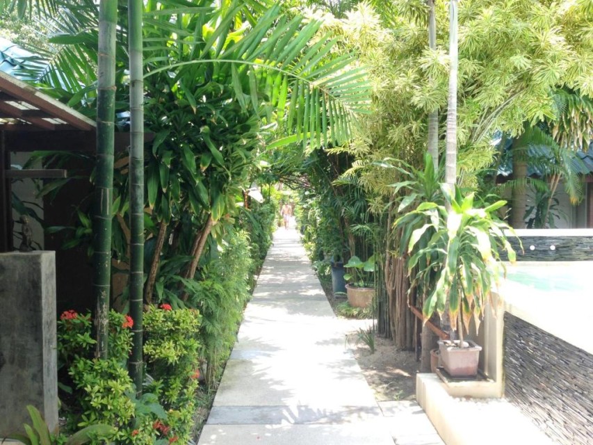 محوطه هتل محوطه هتل